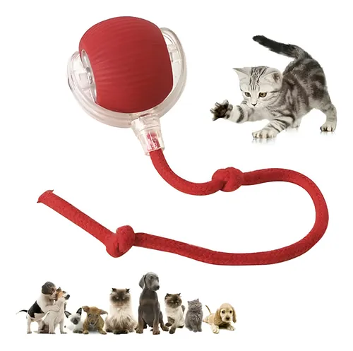 Juguete Interactivo Pelota Bola Gatos